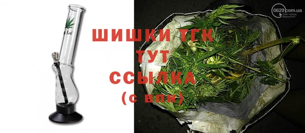 гидра Аркадак