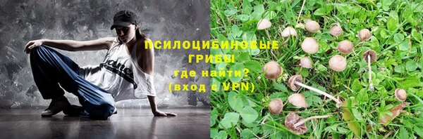 прущий лед Алексеевка