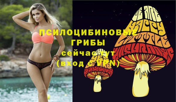 метамфетамин Армянск